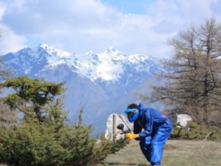  Gotcha y ambientación del campo 